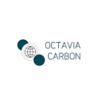 Octavia Carbon